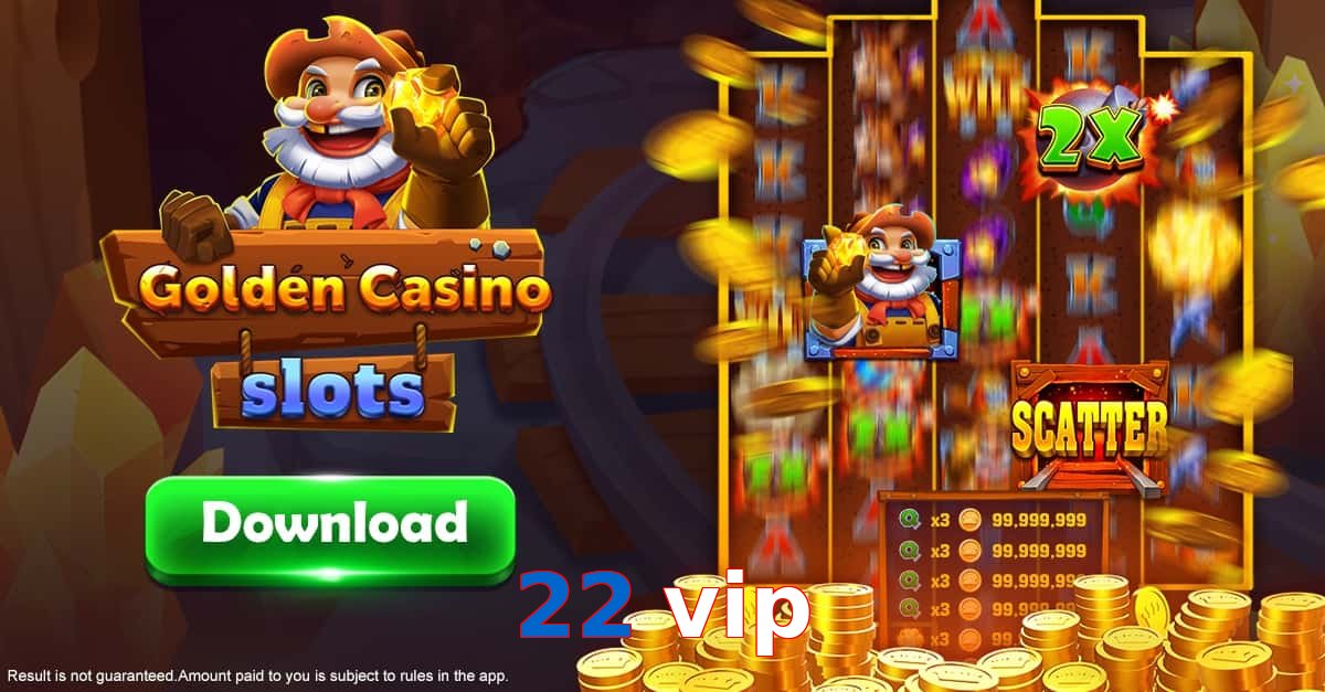 22 vip