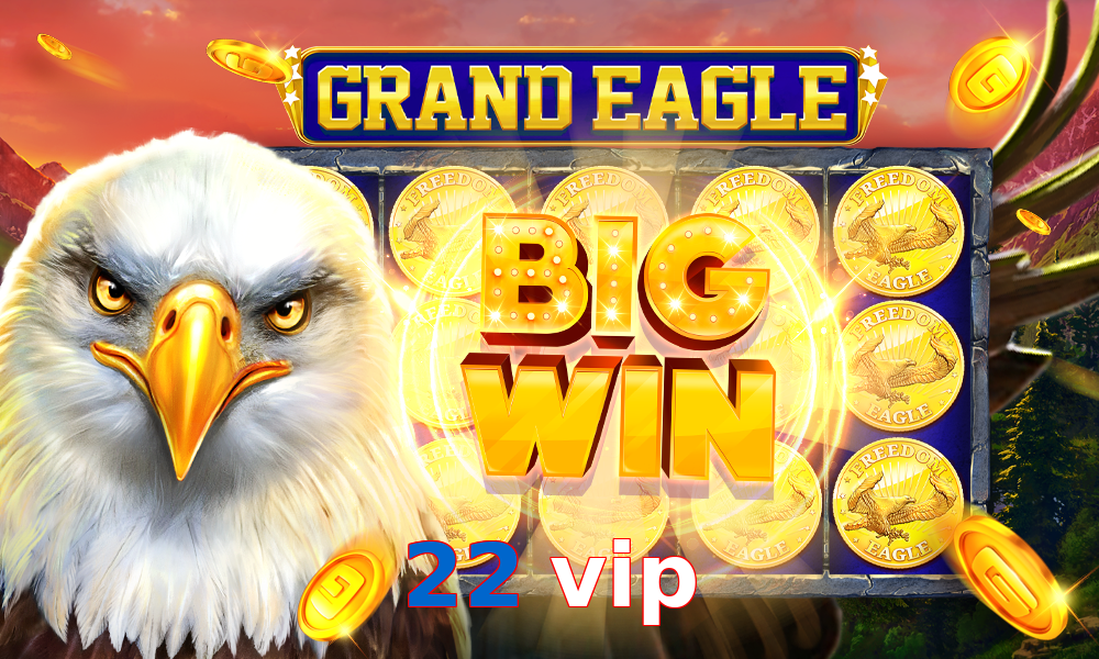 22 vip