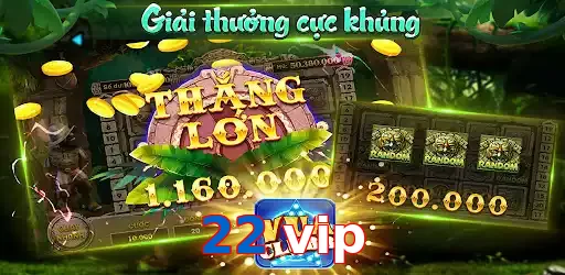 22 vip