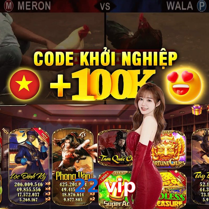 22 vip